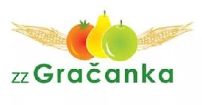 Z.Z. GRAČANKA