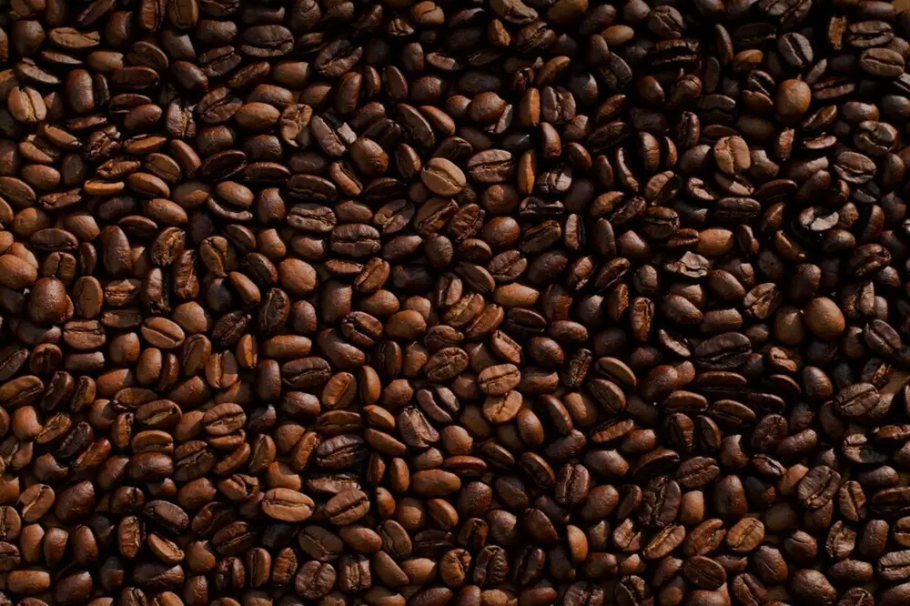 Kafa 3.jpg