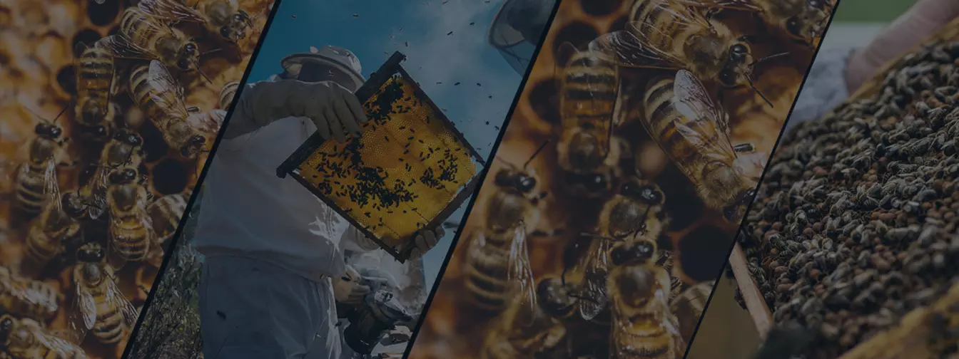 Pčelarstvo i oprema