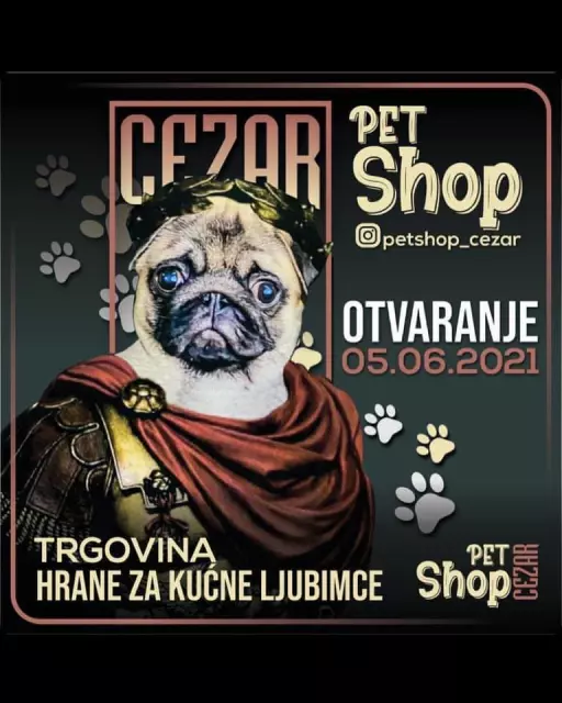 Pet shop Cezar 